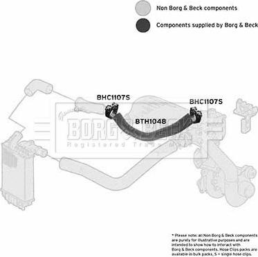 Borg & Beck BTH1048 - Трубка, нагнетание воздуха autosila-amz.com