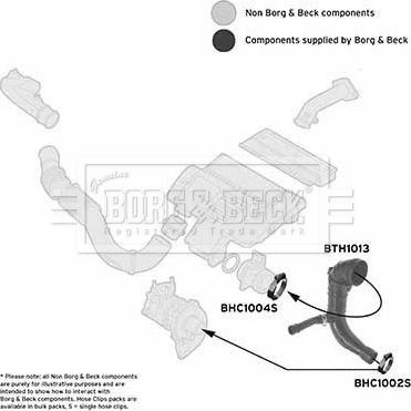 Borg & Beck BTH1013 - Трубка, нагнетание воздуха autosila-amz.com