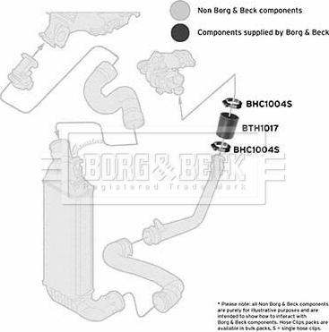 Borg & Beck BTH1017 - Трубка, нагнетание воздуха autosila-amz.com