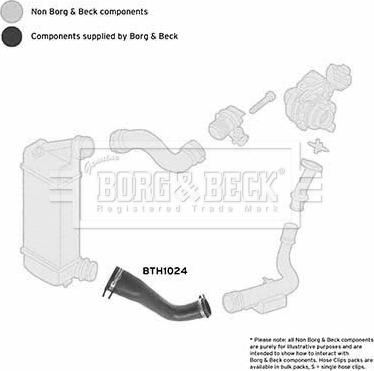 Borg & Beck BTH1024 - Трубка, нагнетание воздуха autosila-amz.com