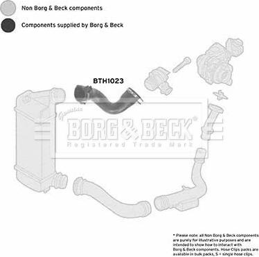 Borg & Beck BTH1023 - Трубка, нагнетание воздуха autosila-amz.com