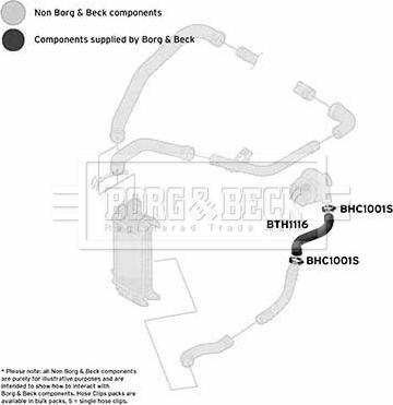 Borg & Beck BTH1116 - Трубка, нагнетание воздуха autosila-amz.com