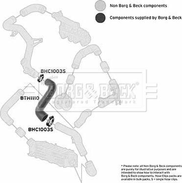 Borg & Beck BTH1110 - Трубка, нагнетание воздуха autosila-amz.com