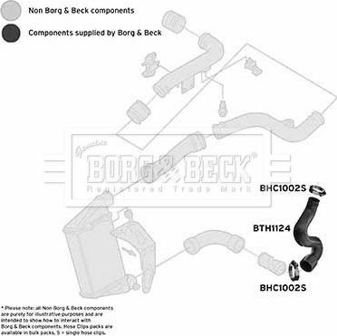 Borg & Beck BTH1124 - Трубка, нагнетание воздуха autosila-amz.com