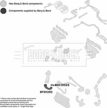 Borg & Beck BTH1393 - Трубка, нагнетание воздуха autosila-amz.com