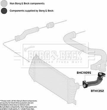 Borg & Beck BTH1352 - Трубка, нагнетание воздуха autosila-amz.com