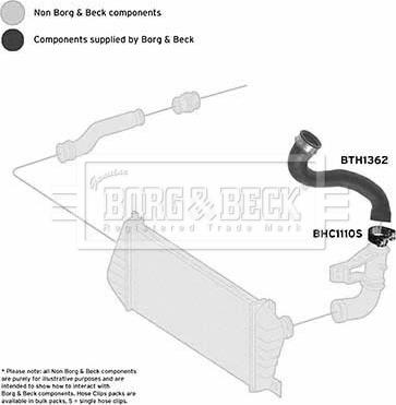 Borg & Beck BTH1362 - Трубка, нагнетание воздуха autosila-amz.com
