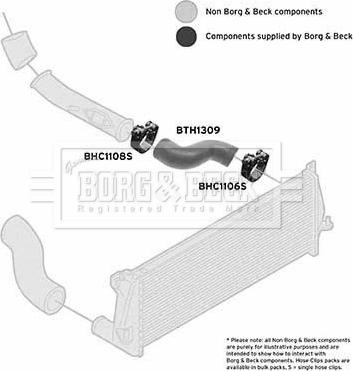 Borg & Beck BTH1309 - Трубка, нагнетание воздуха autosila-amz.com