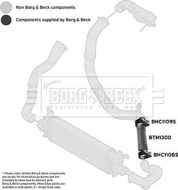 Borg & Beck BTH1300 - Трубка, нагнетание воздуха autosila-amz.com