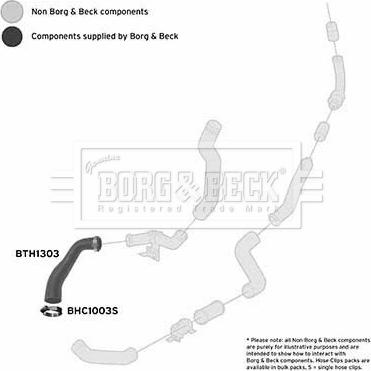 Borg & Beck BTH1303 - Трубка, нагнетание воздуха autosila-amz.com