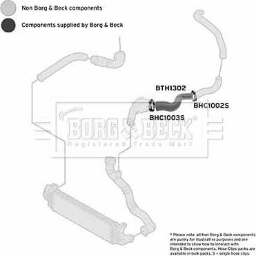 Borg & Beck BTH1302 - Трубка, нагнетание воздуха autosila-amz.com