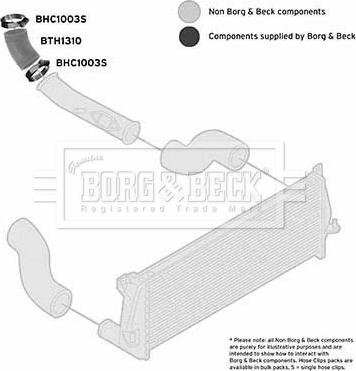 Borg & Beck BTH1310 - Трубка, нагнетание воздуха autosila-amz.com