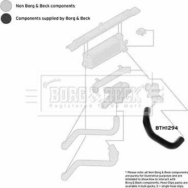 Borg & Beck BTH1294 - Трубка, нагнетание воздуха autosila-amz.com