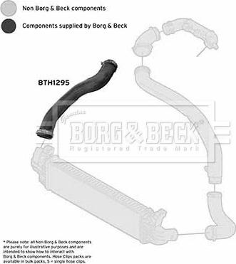 Borg & Beck BTH1295 - Трубка, нагнетание воздуха autosila-amz.com