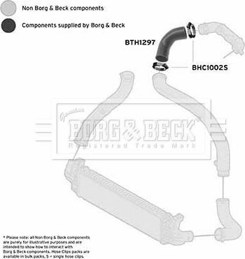 Borg & Beck BTH1297 - Трубка, нагнетание воздуха autosila-amz.com