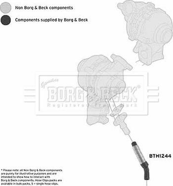 Borg & Beck BTH1244 - Трубка, нагнетание воздуха autosila-amz.com