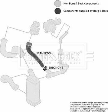 Borg & Beck BTH1253 - Трубка, нагнетание воздуха autosila-amz.com