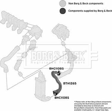 Borg & Beck BTH1265 - Трубка, нагнетание воздуха autosila-amz.com