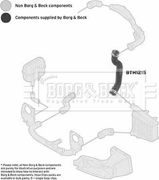 Borg & Beck BTH1215 - Трубка, нагнетание воздуха autosila-amz.com
