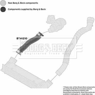 Borg & Beck BTH1210 - Трубка, нагнетание воздуха autosila-amz.com