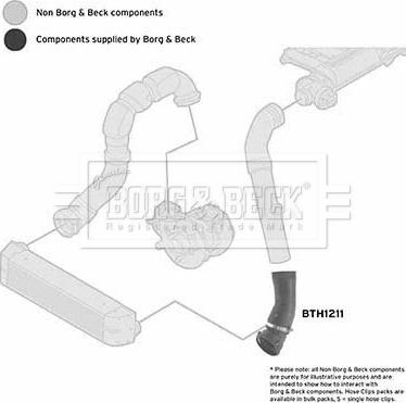 Borg & Beck BTH1211 - Трубка, нагнетание воздуха autosila-amz.com
