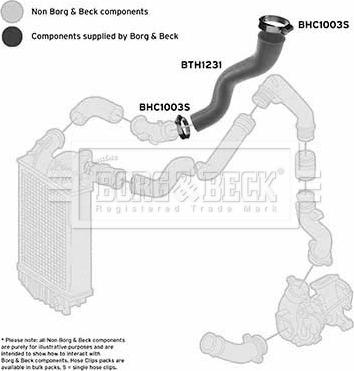 Borg & Beck BTH1231 - Трубка, нагнетание воздуха autosila-amz.com