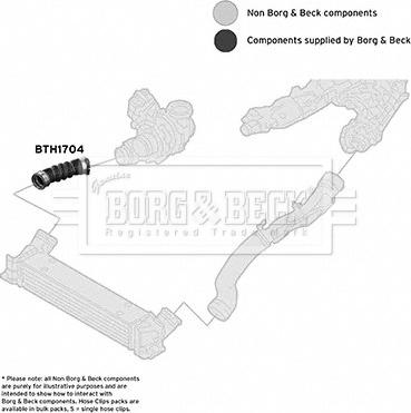 Borg & Beck BTH1704 - Трубка, нагнетание воздуха autosila-amz.com