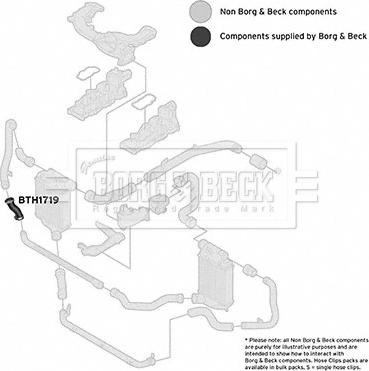 Borg & Beck BTH1719 - Трубка, нагнетание воздуха autosila-amz.com