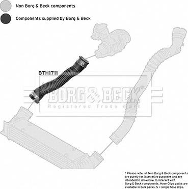 Borg & Beck BTH1711 - Трубка, нагнетание воздуха autosila-amz.com