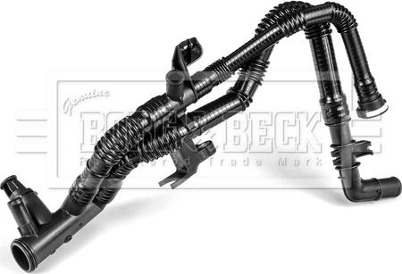 Borg & Beck BTS1127 - Шланг радиатора autosila-amz.com