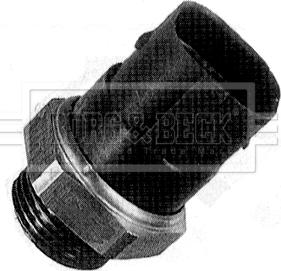 Borg & Beck BTS894.95 - Термовыключатель, вентилятор радиатора / кондиционера autosila-amz.com