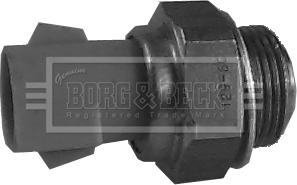 Borg & Beck BTS824.99 - Термовыключатель, вентилятор радиатора / кондиционера autosila-amz.com