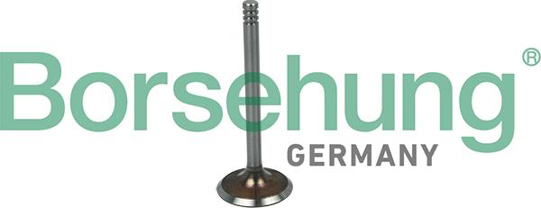Borsehung B19031 - Впускной клапан autosila-amz.com