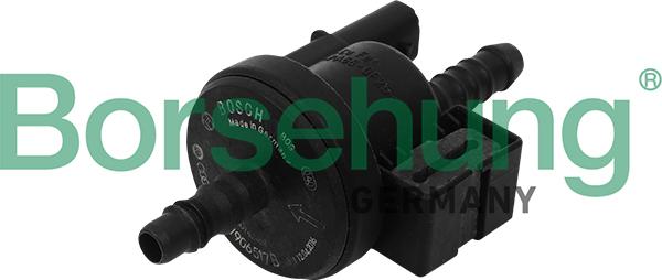 Borsehung B16933 - Клапан, фильтр активированного угля autosila-amz.com