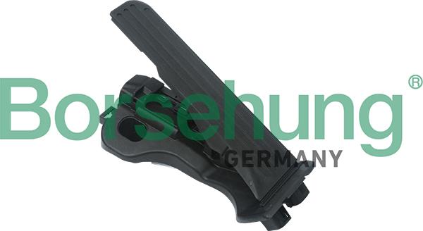 Borsehung B18725 - Комплект педали управления подачей топлива autosila-amz.com