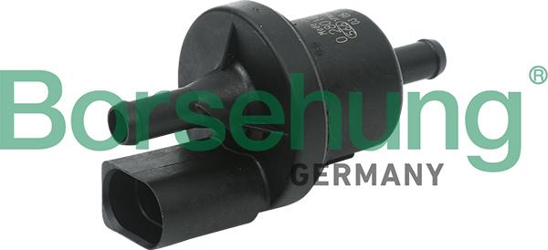 Borsehung B13667 - Клапан, фильтр активированного угля autosila-amz.com