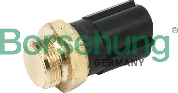 Borsehung B13129 - Термовыключатель, вентилятор радиатора / кондиционера autosila-amz.com