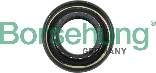 Borsehung B12194 - Уплотняющее кольцо, ступенчатая коробка передач autosila-amz.com