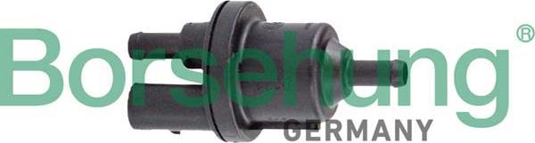 Borsehung B12317 - Клапан, фильтр активированного угля autosila-amz.com