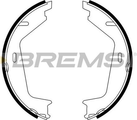 Bremsi GF0608 - Комплект тормозов, ручник, парковка autosila-amz.com