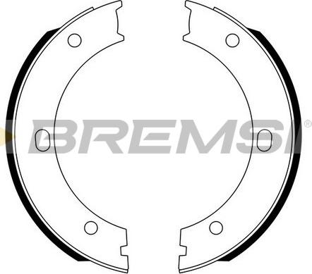 Bremsi GF0131 - Комплект тормозов, ручник, парковка autosila-amz.com