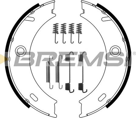 Bremsi GF0307-1 - Комплект тормозов, ручник, парковка autosila-amz.com