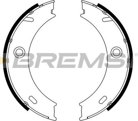 Bremsi GF0307 - Комплект тормозов, ручник, парковка autosila-amz.com