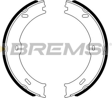 Bremsi GF0315 - Комплект тормозов, ручник, парковка autosila-amz.com