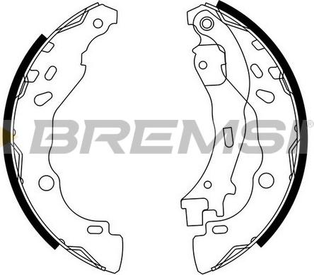 Bremsi GF0291 - Комплект тормозных колодок, барабанные autosila-amz.com
