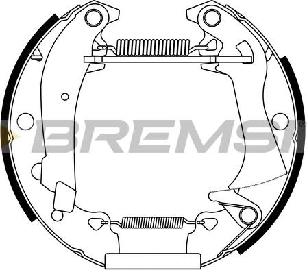 Bremsi GK0017 - Комплект тормозных колодок, барабанные autosila-amz.com