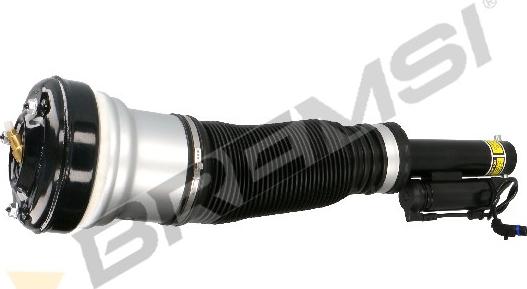 Bremsi SA2060 - Опора пневматической рессоры autosila-amz.com