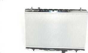 BSG BSG 40-520-038 - Радиатор, охлаждение двигателя autosila-amz.com