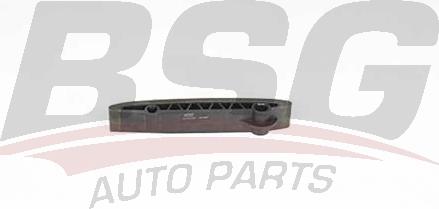 BSG BSG 60-109-047 - Планка успокоителя, цепь привода autosila-amz.com