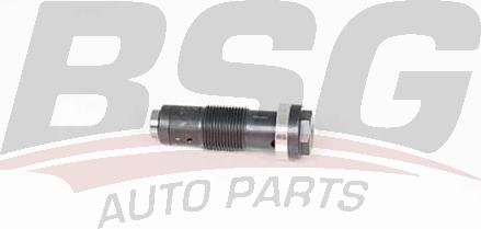 BSG BSG 60-109-005 - Натяжитель цепи ГРМ autosila-amz.com